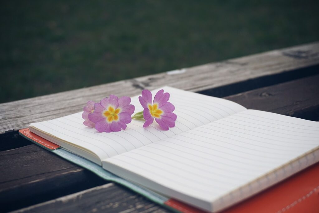 bench, flower, notebook, flower wallpaper, beautiful flowers, pen, wooden, notepad, wooden table, lifestyle, modern, creative, white, flora, flower background, plant, spring, note, decoration, environment, life, natural, decorative, nature, garden