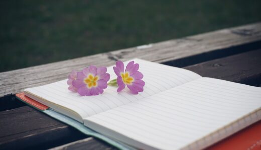 bench, flower, notebook, flower wallpaper, beautiful flowers, pen, wooden, notepad, wooden table, lifestyle, modern, creative, white, flora, flower background, plant, spring, note, decoration, environment, life, natural, decorative, nature, garden