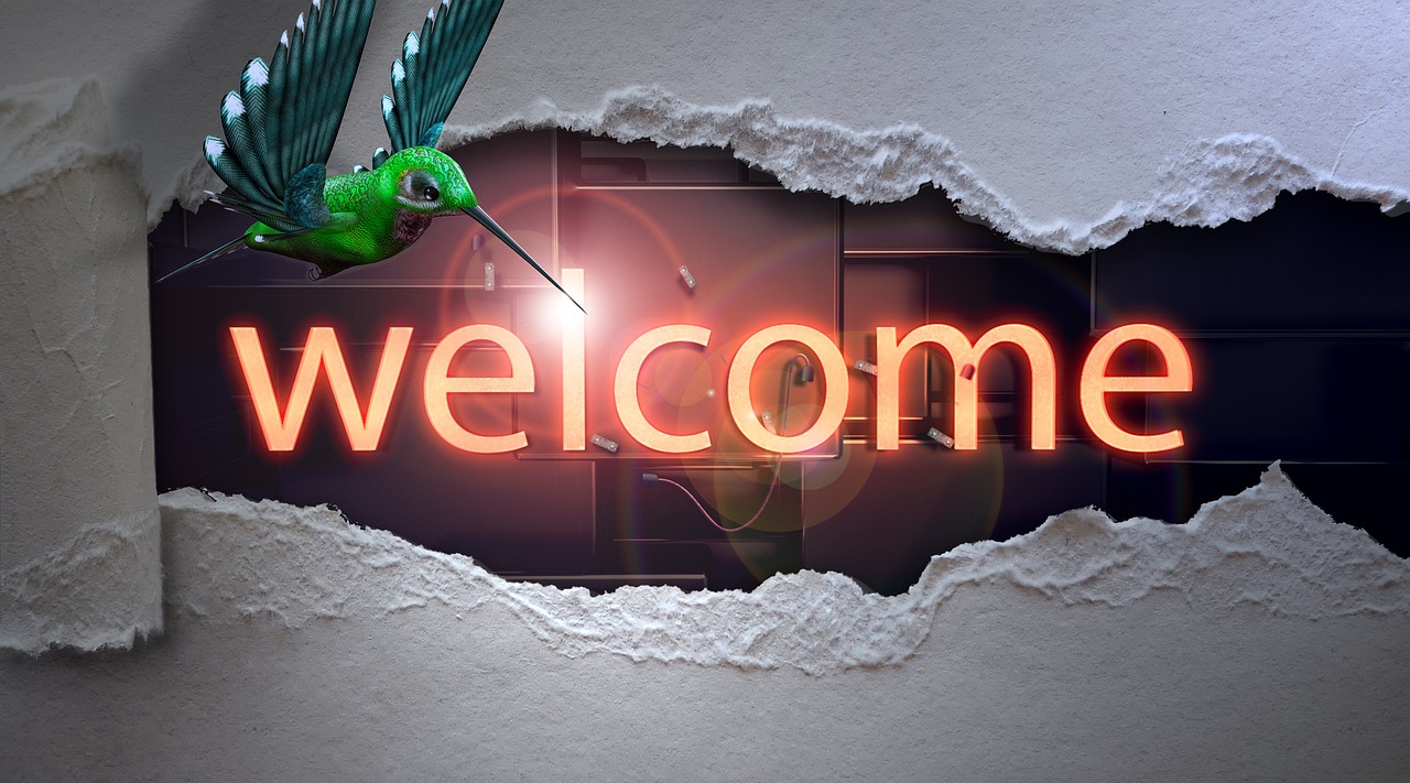 welcome, bright, breakthrough, humming-bird, bird, nostalgia, liberation, freedom, assembly, paper, departure, lettering, nature, typography, neon font, neon, advertisement, illuminated, illuminated letters, letters, warm welcome, eve, decoration, writing, sign, graphic, 3d