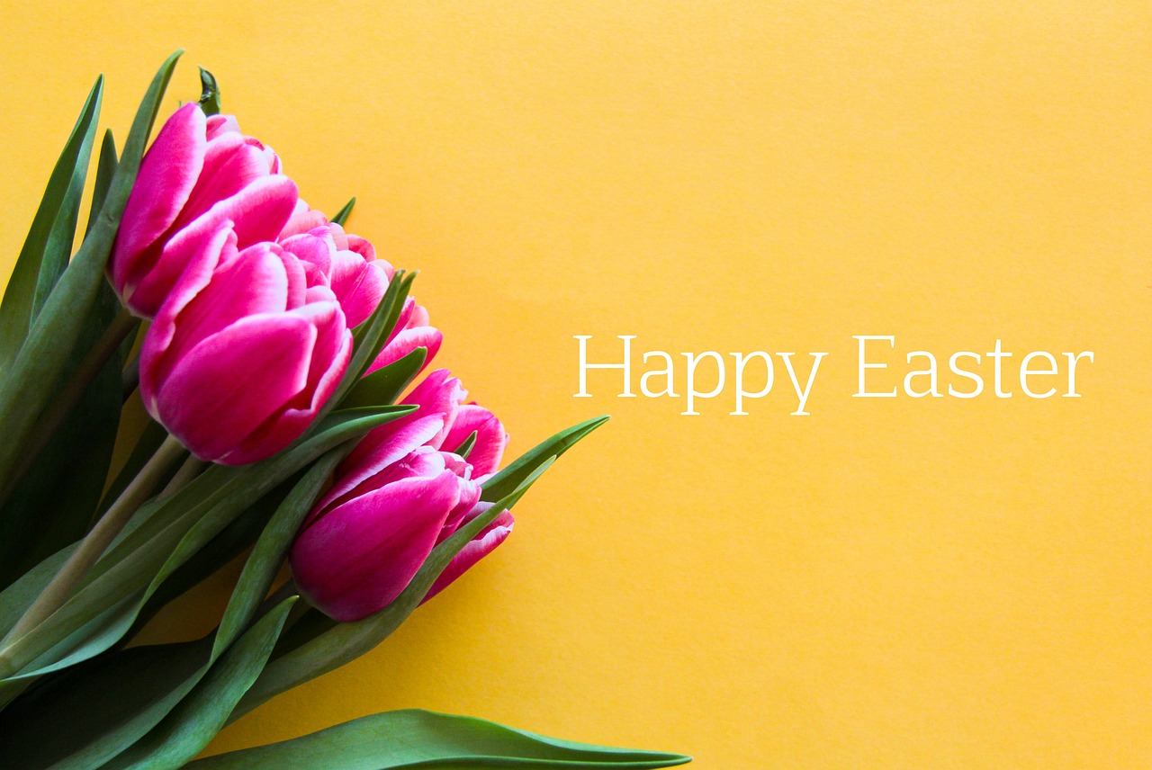 easter, tulips, hd wallpaper, spring, colorful, mac wallpaper, color, laptop wallpaper, food, wallpaper 4k, april, painted, nature, cool backgrounds, 4k wallpaper, wallpaper hd, pink, holiday, beautiful wallpaper, tradition, christian, christianity, full hd wallpaper, hollidays, happy, handmade, background, greeting, card, free background, simple, letters, 4k wallpaper 1920x1080, orange food, orange spring, windows wallpaper, orange happy, orange painting, orange letter, free wallpaper, orange paint, desktop backgrounds, orange color, orange simple, orange happiness