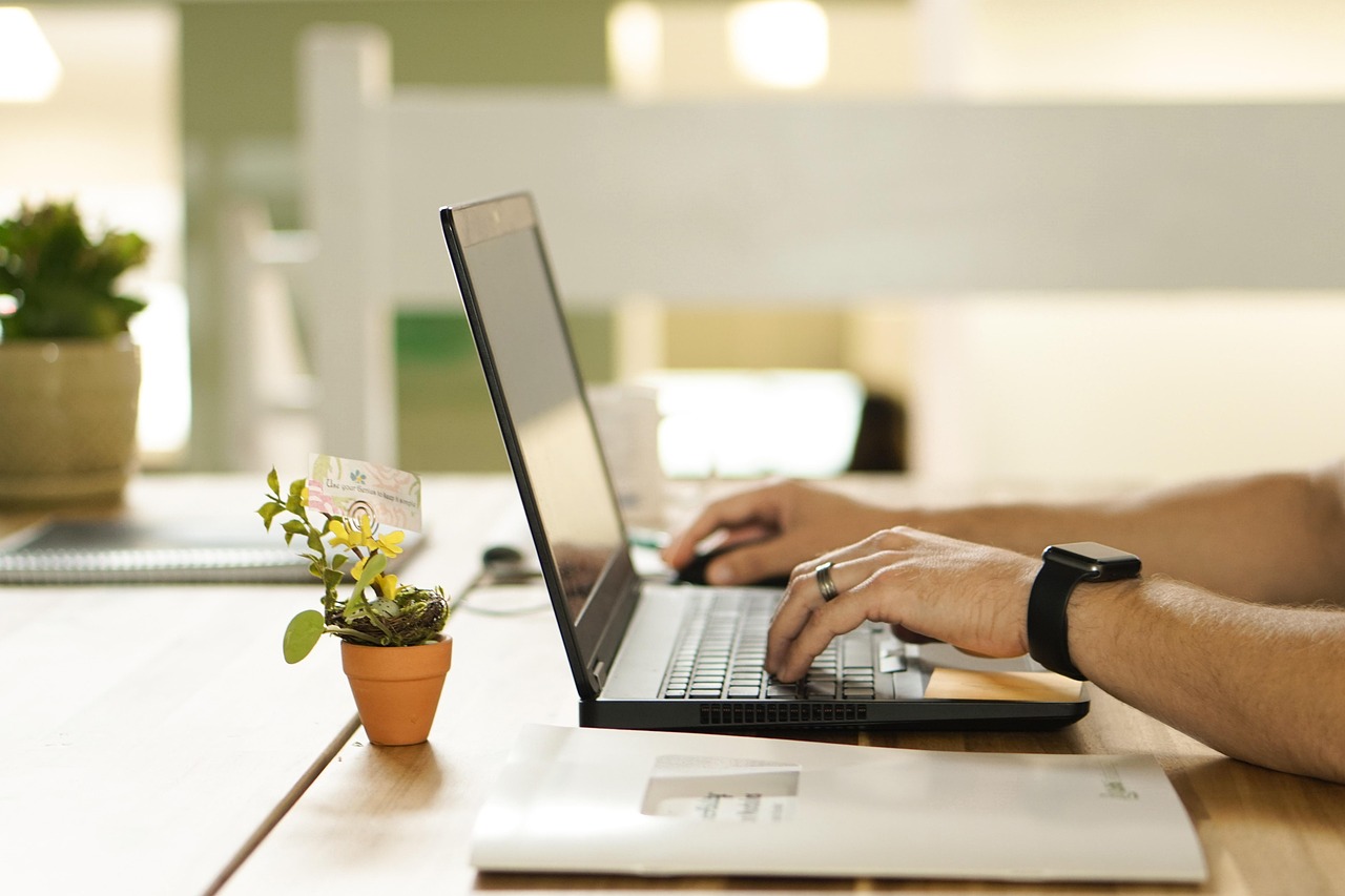 online, connection, nature, laptop, plant, workstation, pot, work, table, workspace, technology