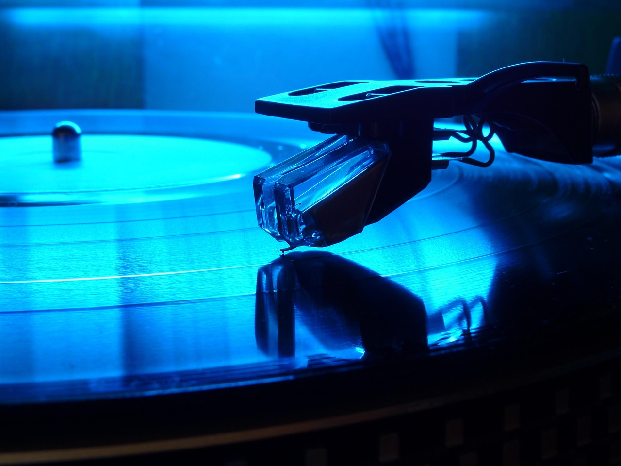 vynil, pickup head, cartridge, vynil, vynil, vynil, vynil, vynil