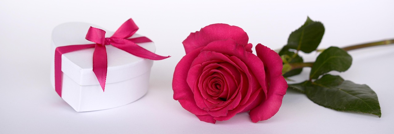 rose, heart, flower background, gift, ribbon, surprise, give a gift, to open, pink, rose flower, pink rose, nature, rosepink, rose petals, romance, love, blossom, bloom, flower, valentine's day, wedding day, white, flower wallpaper, green, romantic, beautiful flowers, relationship, noble